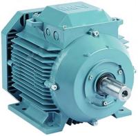 Электродвигатели АВВ общ назнач с чугун. станиной (IE2) 3GBA202410-ADC009